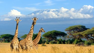 Keňa - z Nairobi do Mombasy národnými parkami
